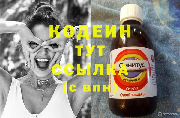 дживик Карпинск