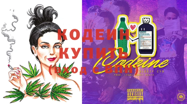 дживик Карпинск