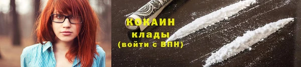 дживик Карпинск