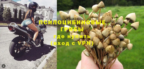 дживик Карпинск