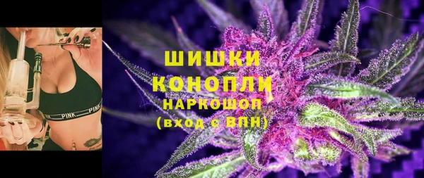 сатива Касимов