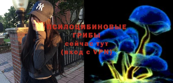 дживик Карпинск