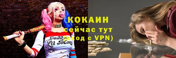 сатива Касимов